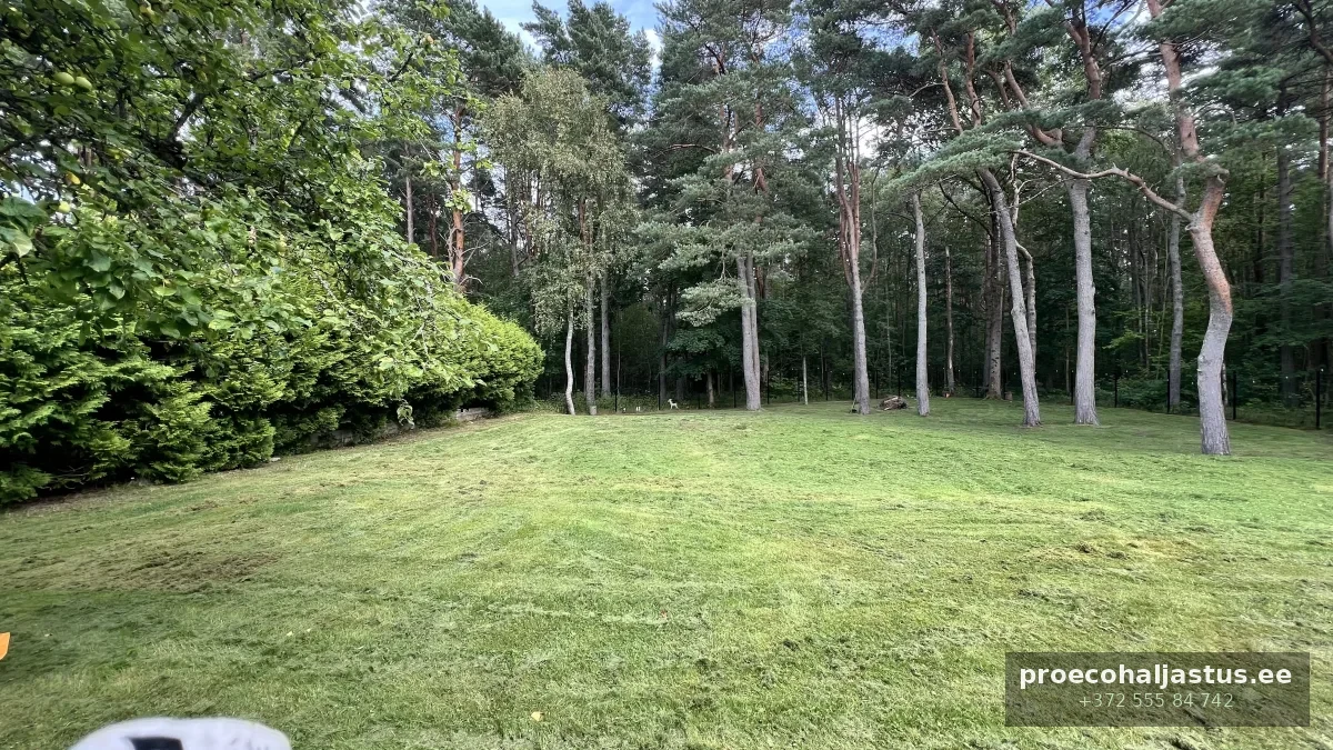 Muruniitmine suvemaja