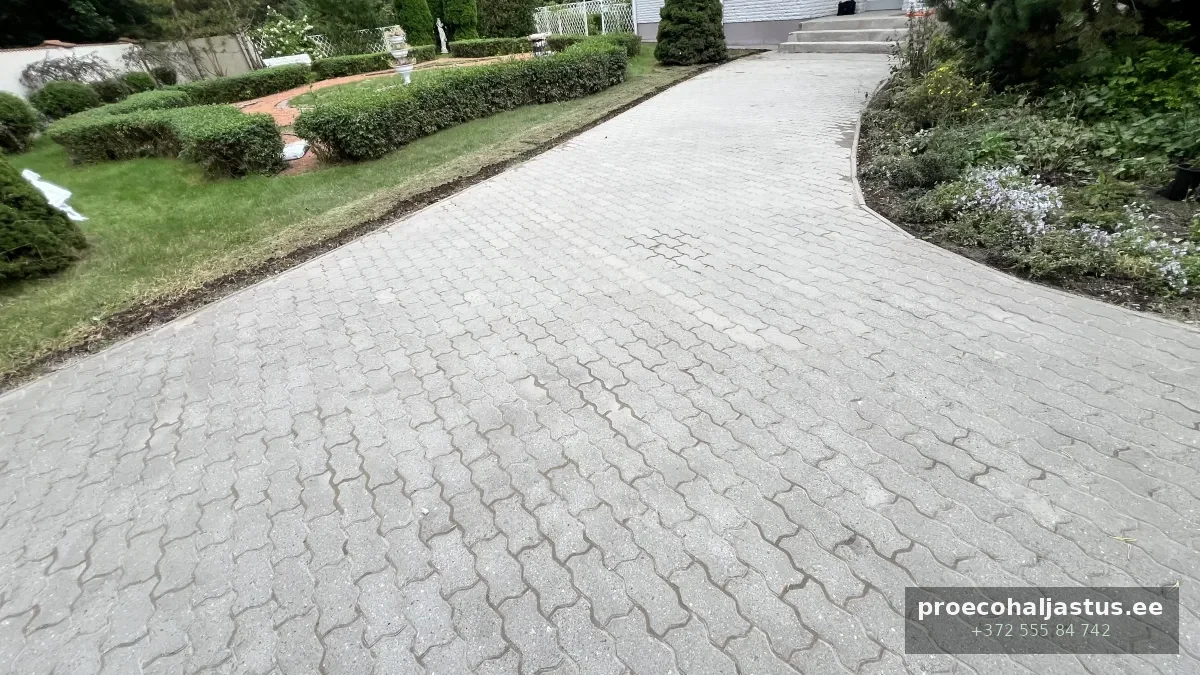 Sillutuskivid aiaplatsis