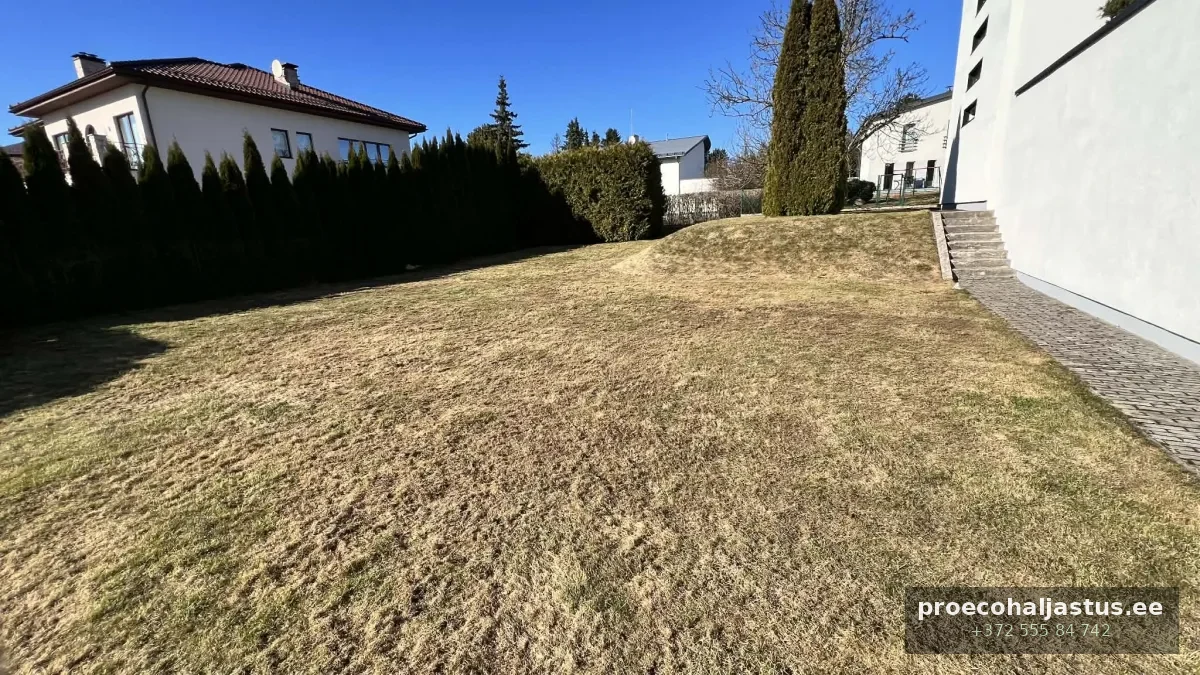 Muru aeratsioon pärast — Tallinn